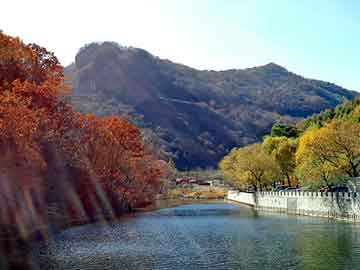 正新澳门二四六天天彩，夜半铃声